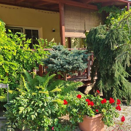 Apartament Malinowa Dolina Klodzko Luaran gambar